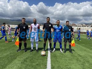 arxigoidiaitites_result